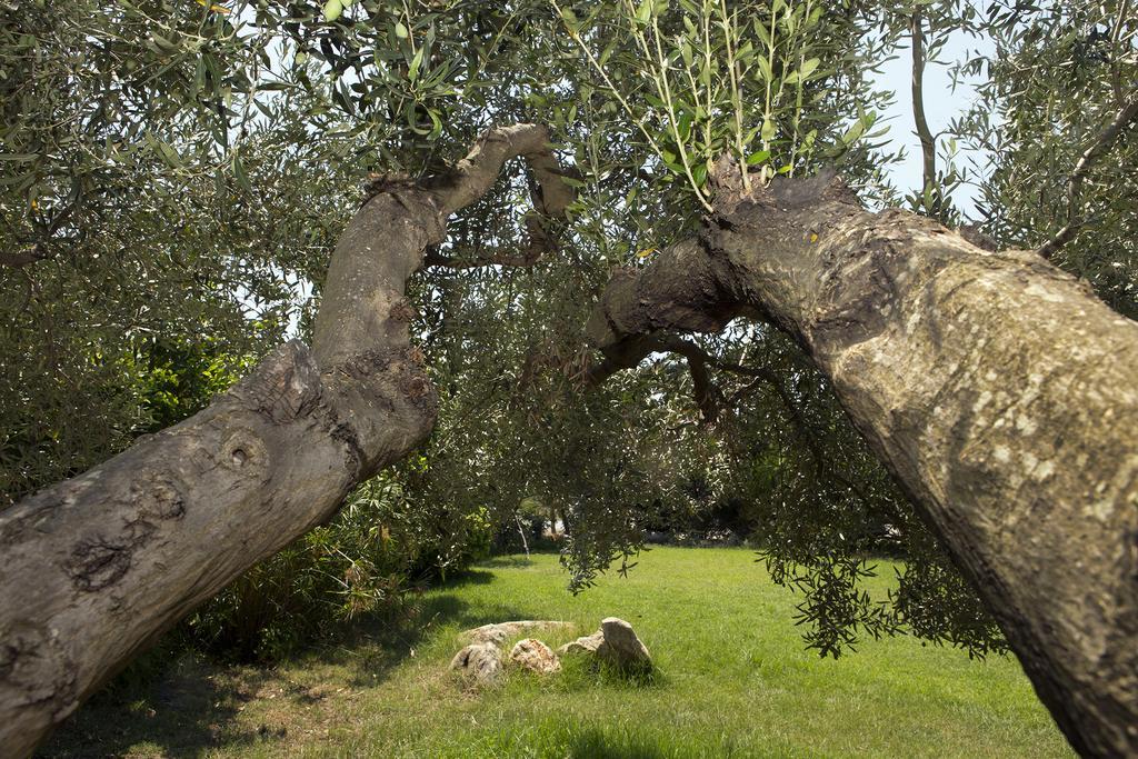 Σπαθιές Διαμέρισμα Καλογριά Εξωτερικό φωτογραφία